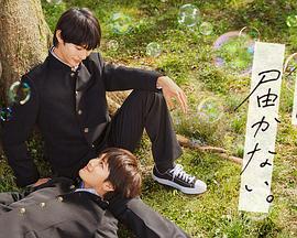 米奇777在线视频精品